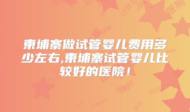 柬埔寨做试管婴儿费用多少左右,柬埔寨试管婴儿比较好的医院!