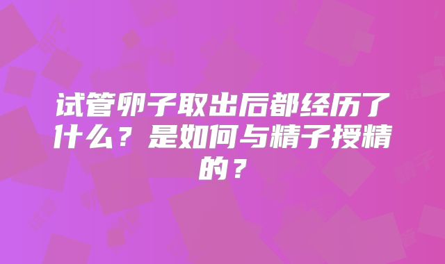试管卵子取出后都经历了什么？是如何与精子授精的？