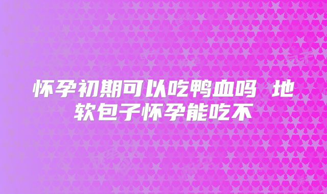 怀孕初期可以吃鸭血吗 地软包子怀孕能吃不