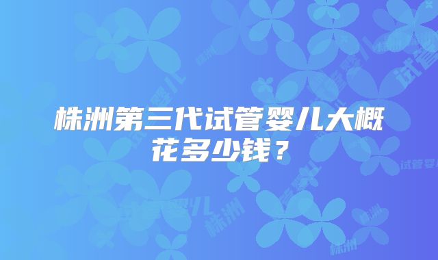 株洲第三代试管婴儿大概花多少钱？