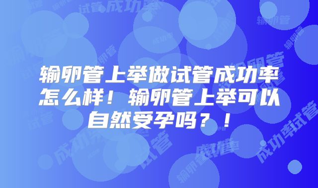 输卵管上举做试管成功率怎么样！输卵管上举可以自然受孕吗？！