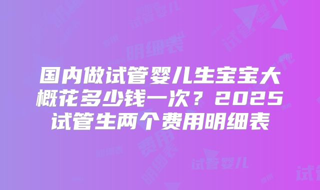 国内做试管婴儿生宝宝大概花多少钱一次？2025试管生两个费用明细表