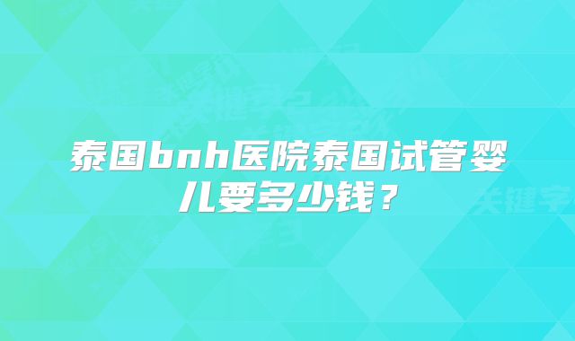 泰国bnh医院泰国试管婴儿要多少钱?