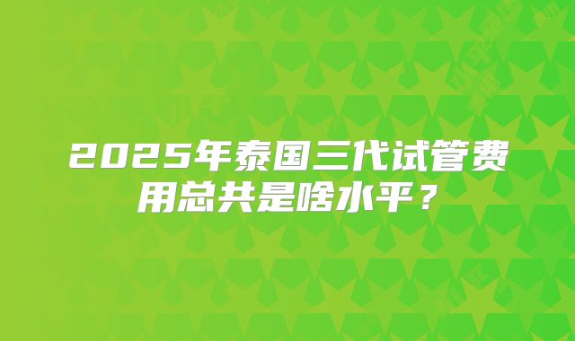 2025年泰国三代试管费用总共是啥水平？