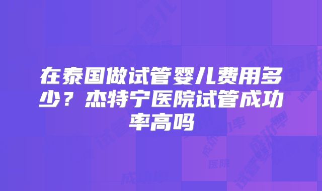 在泰国做试管婴儿费用多少？杰特宁医院试管成功率高吗