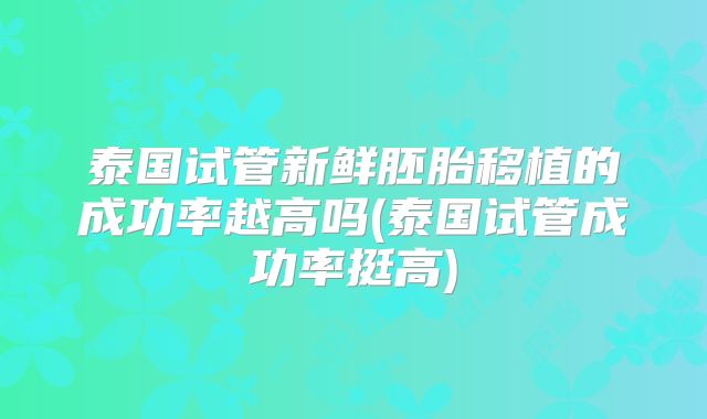 泰国试管新鲜胚胎移植的成功率越高吗(泰国试管成功率挺高)