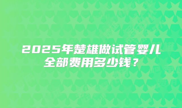 2025年楚雄做试管婴儿全部费用多少钱？