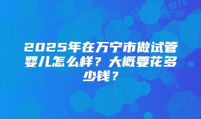 2025年在万宁市做试管婴儿怎么样？大概要花多少钱？