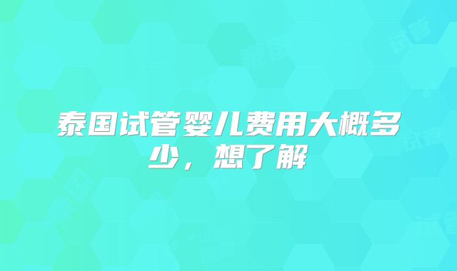 泰国试管婴儿费用大概多少，想了解