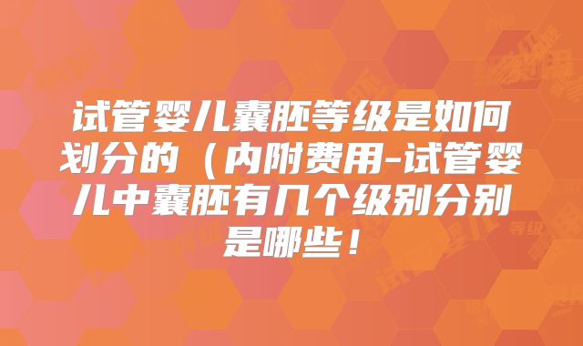 试管婴儿囊胚等级是如何划分的（内附费用-试管婴儿中囊胚有几个级别分别是哪些！