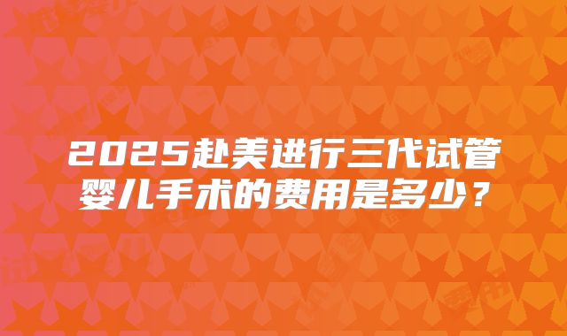 2025赴美进行三代试管婴儿手术的费用是多少？