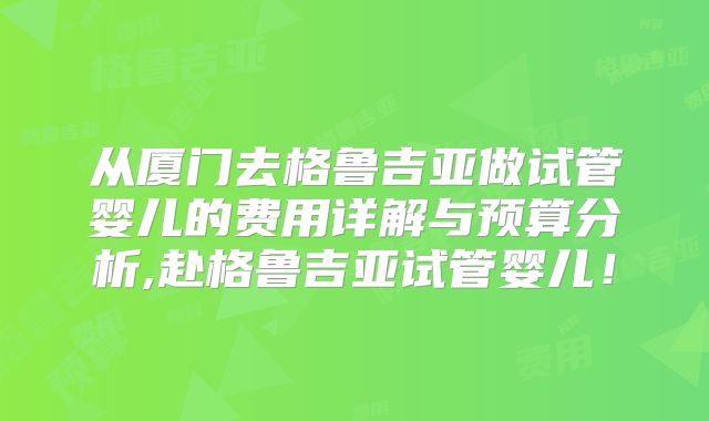 从厦门去格鲁吉亚做试管婴儿的费用详解与预算分析,赴格鲁吉亚试管婴儿！