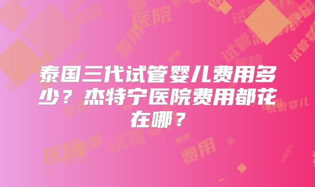 泰国三代试管婴儿费用多少？杰特宁医院费用都花在哪？