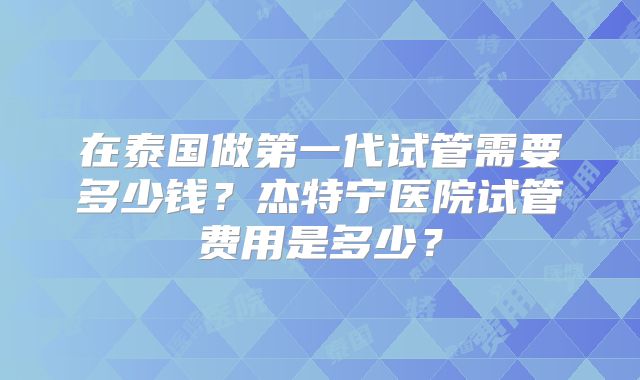 在泰国做第一代试管需要多少钱？杰特宁医院试管费用是多少？