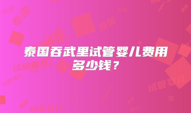 泰国吞武里试管婴儿费用多少钱？