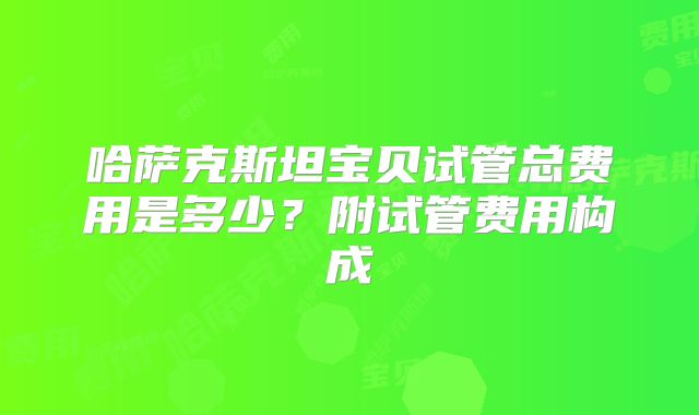 哈萨克斯坦宝贝试管总费用是多少？附试管费用构成