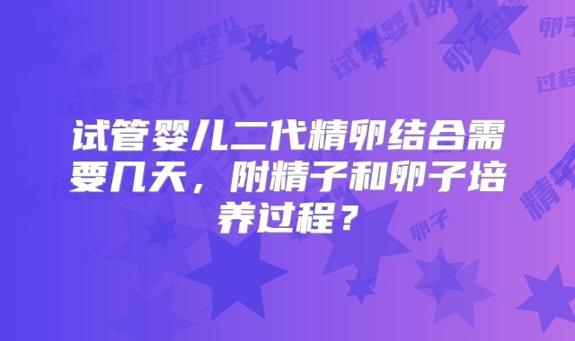 试管婴儿二代精卵结合需要几天,附精子和卵子培养过程?