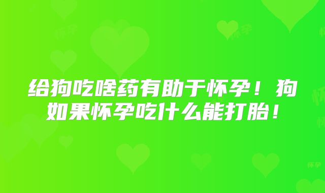 给狗吃啥药有助于怀孕!狗如果怀孕吃什么能打胎!