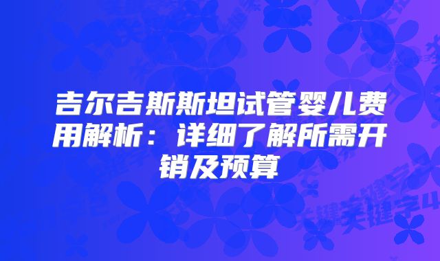 吉尔吉斯斯坦试管婴儿费用解析：详细了解所需开销及预算