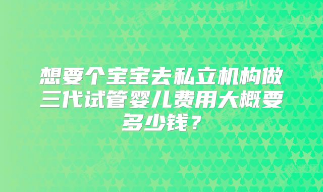 想要个宝宝去私立机构做三代试管婴儿费用大概要多少钱？
