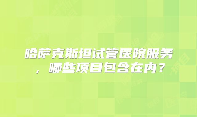 哈萨克斯坦试管医院服务，哪些项目包含在内？