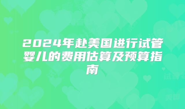 2024年赴美国进行试管婴儿的费用估算及预算指南