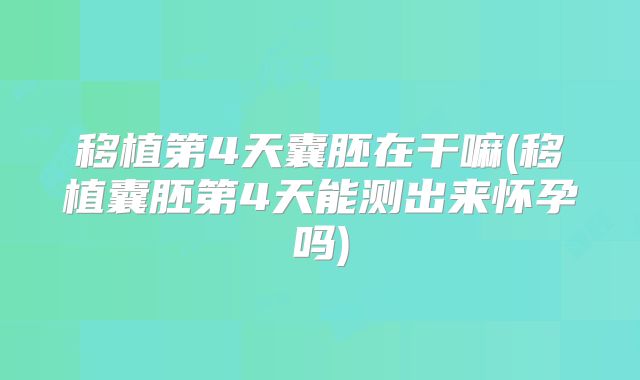 移植第4天囊胚在干嘛(移植囊胚第4天能测出来怀孕吗)