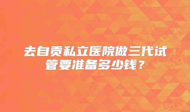去自贡私立医院做三代试管要准备多少钱？