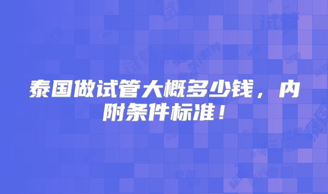 泰国做试管大概多少钱，内附条件标准！