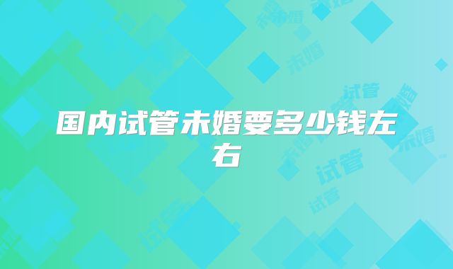 国内试管未婚要多少钱左右
