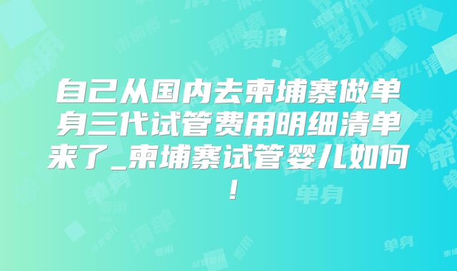 自己从国内去柬埔寨做单身三代试管费用明细清单来了_柬埔寨试管婴儿如何！