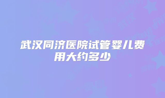 武汉同济医院试管婴儿费用大约多少