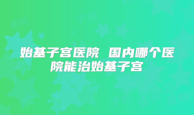 始基子宫医院 国内哪个医院能治始基子宫