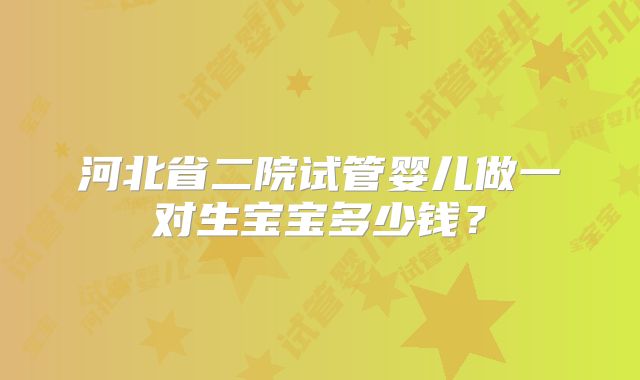 河北省二院试管婴儿做一对生宝宝多少钱？