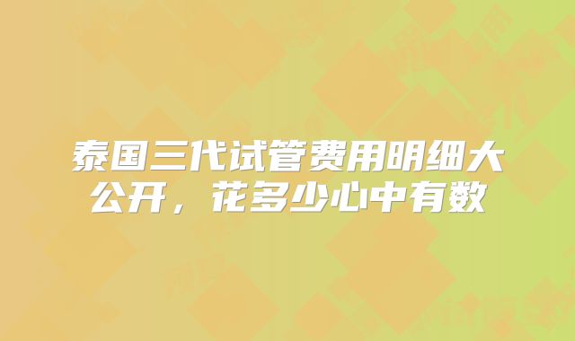 泰国三代试管费用明细大公开，花多少心中有数