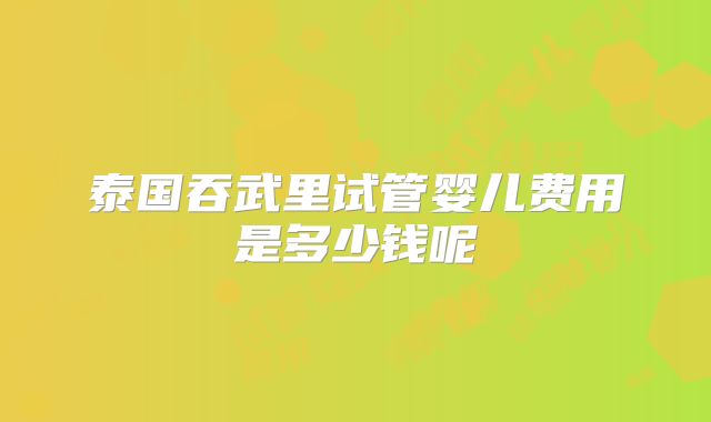 泰国吞武里试管婴儿费用是多少钱呢