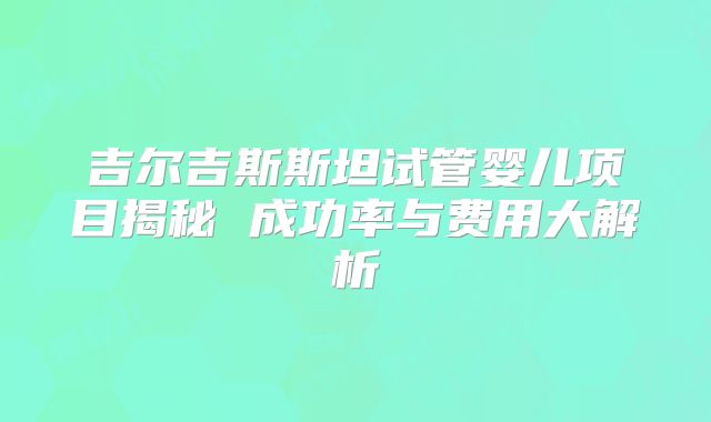 吉尔吉斯斯坦试管婴儿项目揭秘 成功率与费用大解析