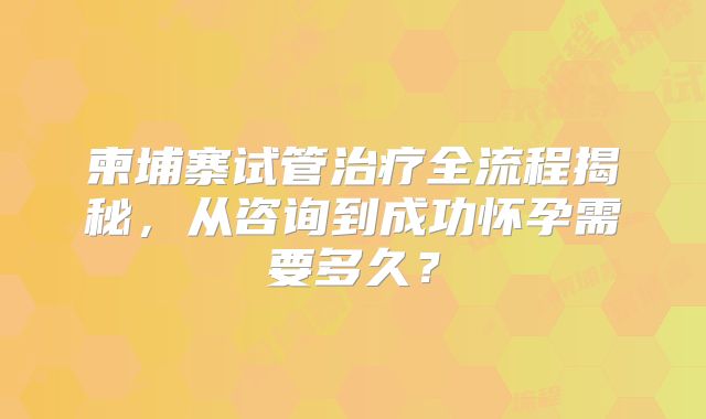 柬埔寨试管治疗全流程揭秘，从咨询到成功怀孕需要多久？