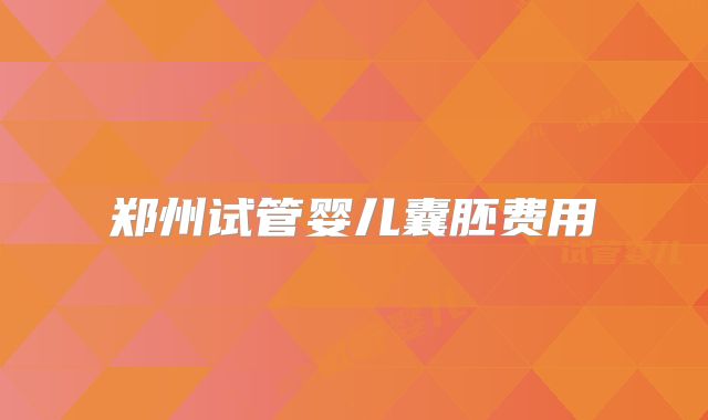 郑州试管婴儿囊胚费用