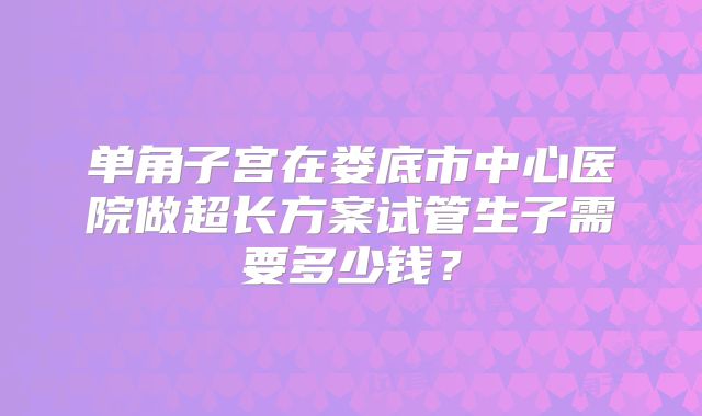 单角子宫在娄底市中心医院做超长方案试管生子需要多少钱？