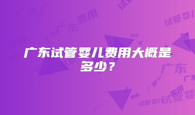 广东试管婴儿费用大概是多少？