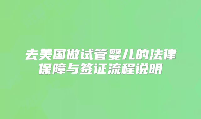 去美国做试管婴儿的法律保障与签证流程说明
