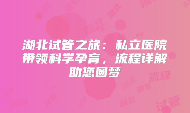 湖北试管之旅：私立医院带领科学孕育，流程详解助您圆梦