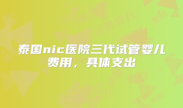 泰国nic医院三代试管婴儿费用,具体支出