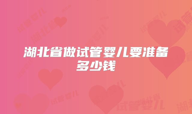 湖北省做试管婴儿要准备多少钱