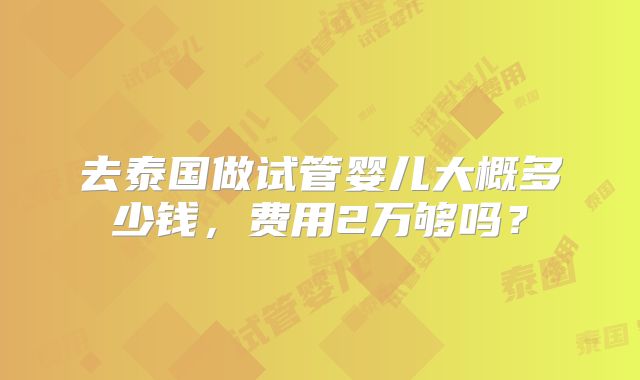 去泰国做试管婴儿大概多少钱，费用2万够吗？