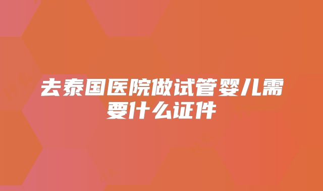 去泰国医院做试管婴儿需要什么证件