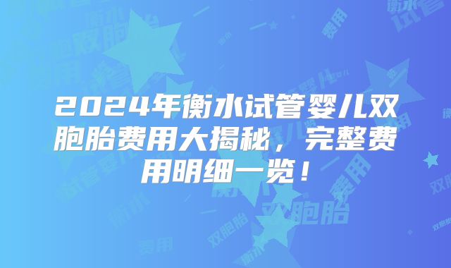 2024年衡水试管婴儿双胞胎费用大揭秘，完整费用明细一览！