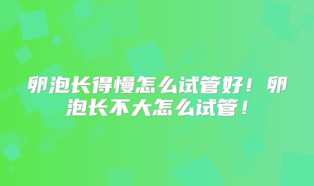 卵泡长得慢怎么试管好！卵泡长不大怎么试管！