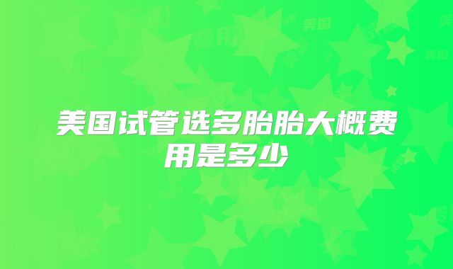 美国试管选多胎胎大概费用是多少